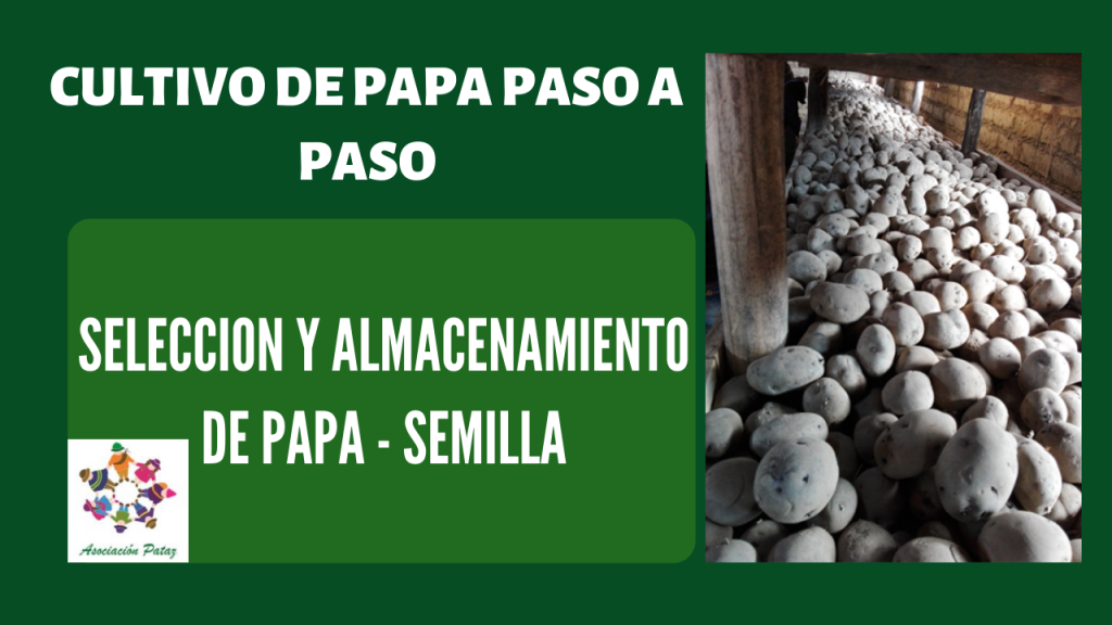 Selección y almacenamiento de semilla – UC 1 – E 1