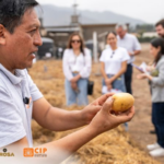 Visita campos experimentales del CIP